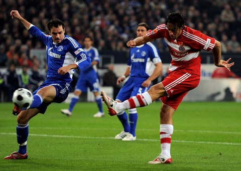 法律和公众 法律和公众